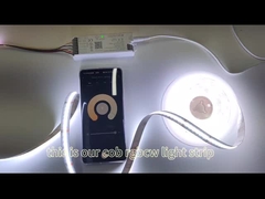 PFEILER Streifen-Licht